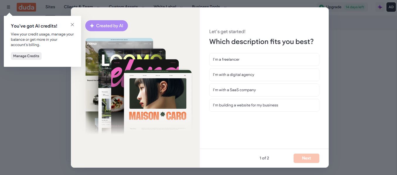 Duda onboarding screen asking whether the user is a freelancer, agency, SaaS company, or business owner
