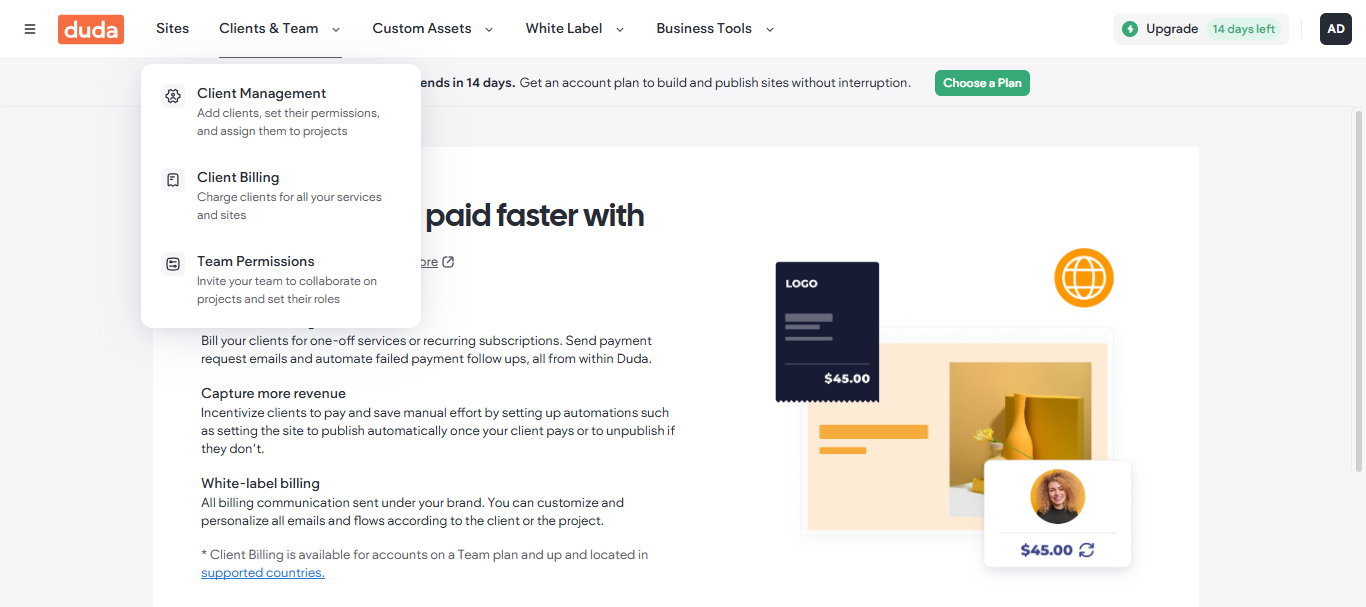 Duda Clients and Team menu showing client management, client billing, and team permissions options