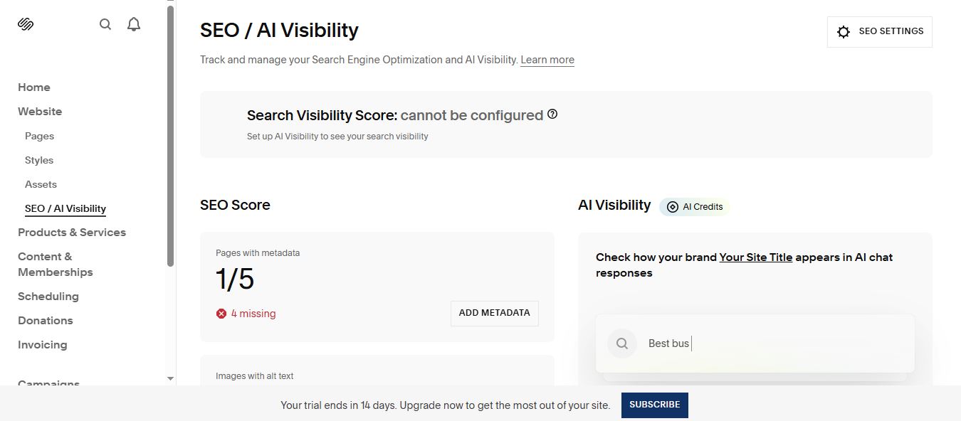 Squarespace SEO and AI Visibility dashboard showing SEO score, metadata, and AI visibility